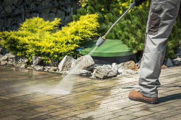 Best Oil and Grease Removal from Surfaces in Blossom, TX