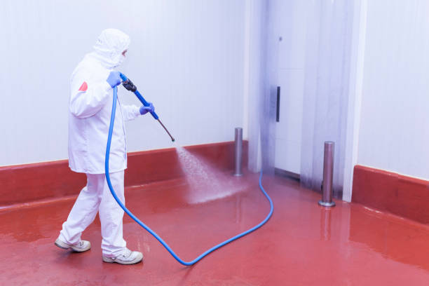 Best Window and Screen Pressure Cleaning in Blossom, TX