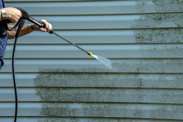 Best Roof Cleaning and Mildew Removal in Blossom, TX